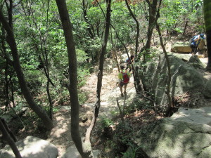 Trail Heading Down, Byungtae Leading