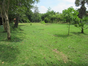 Benign looking now, but this is where many of the tens of thousands were killed, typically not with guns, but with crude weapons.  Sticks, shovels, axes, etc.   The site is just one of hundreds of killing fields throughout Cambodia. This one is where the biggest memorial is.  Outside of Phnom Penh.