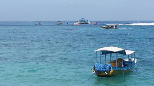 Dive platform over a reef in the background. 