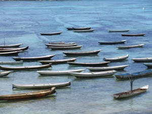 Seaweed "farming"  boats.