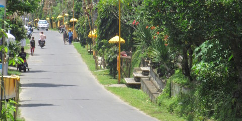 Pictures of Bali Part 1 – A Drive in The Ubud Countryside