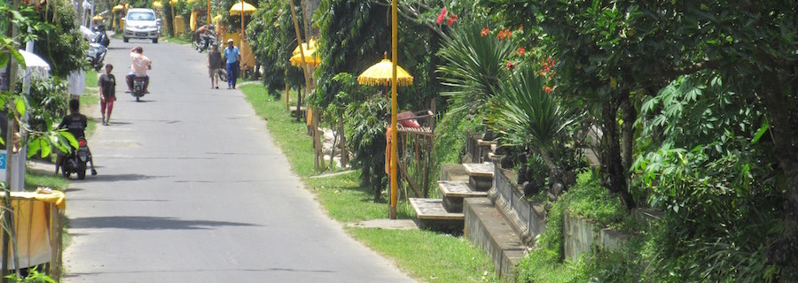 Pictures of Bali Part 1 – A Drive in The Ubud Countryside