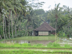 Closer up of same house.  I could live there, could you?