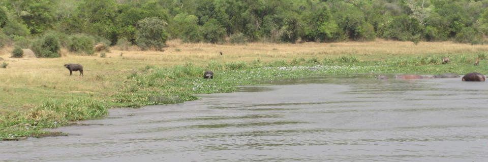Ugandan Photo Safari, Part 2: The Mighty Nile