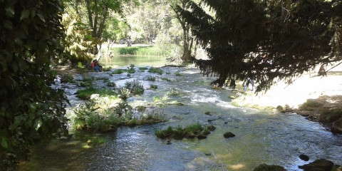 Ifrane:  The Moroccan Alps