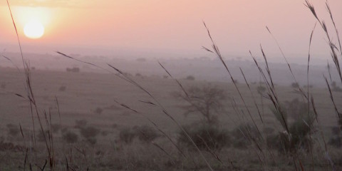 Ugandan Photo Safari, Part 1: Three of the Big Five