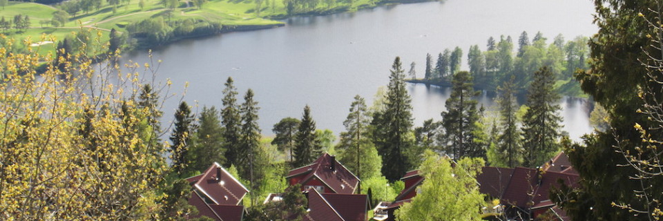 Oslo, Norway:  Vikings, Skiers With No Snow, Old Village!