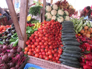 Casa.07.Tomatos