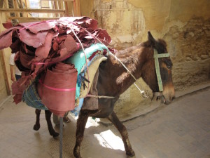 Fes.03.DonkeyMainTransport