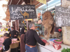 Fes.05.CamelMeat