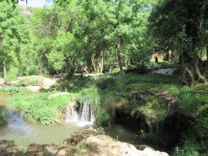 Ifrane.08.Glade