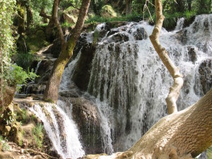 Ifrane.09.Waterfall