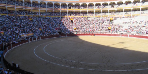 Madrid:  Where I Go To A Bullfight…and Leave