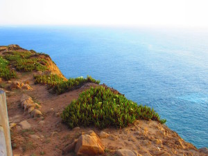 Sintra.06.EndofEuropeIcePlant