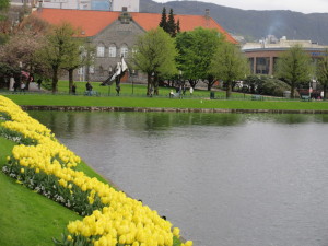 Bergen.07.FlowersWithLakeBuilding