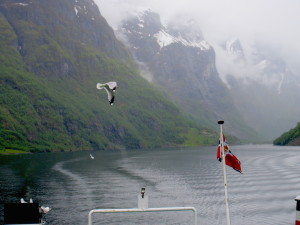 Flam.06.FjordBoatFlatSeagull